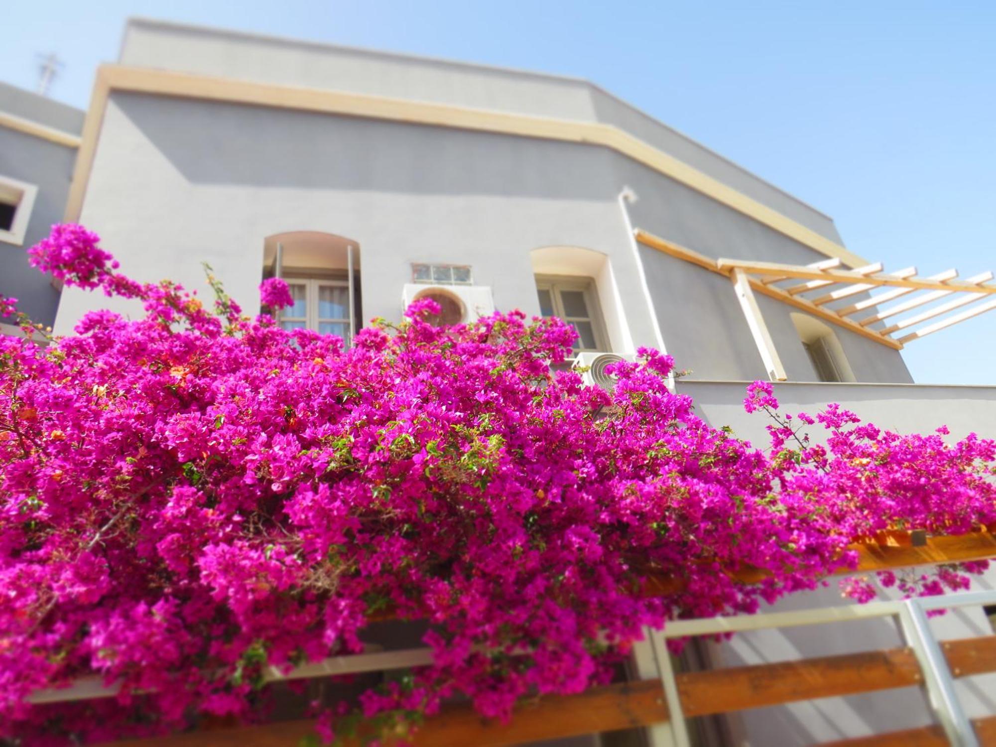 Axilleion Boutique Hotel Ermupoli Exteriér fotografie